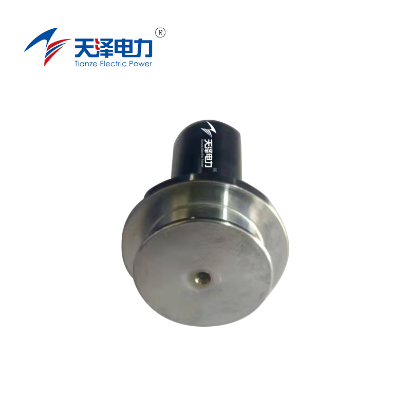 天泽电力 通用型活塞小 4.06.617.01200 个高清大图