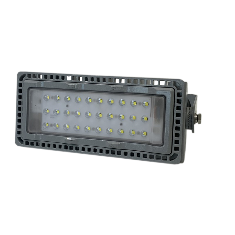 LHDQ 领航电器 LHF2390 LED投光灯 50W 220V 冷光6000K IP65 (计价单位:个)高清大图