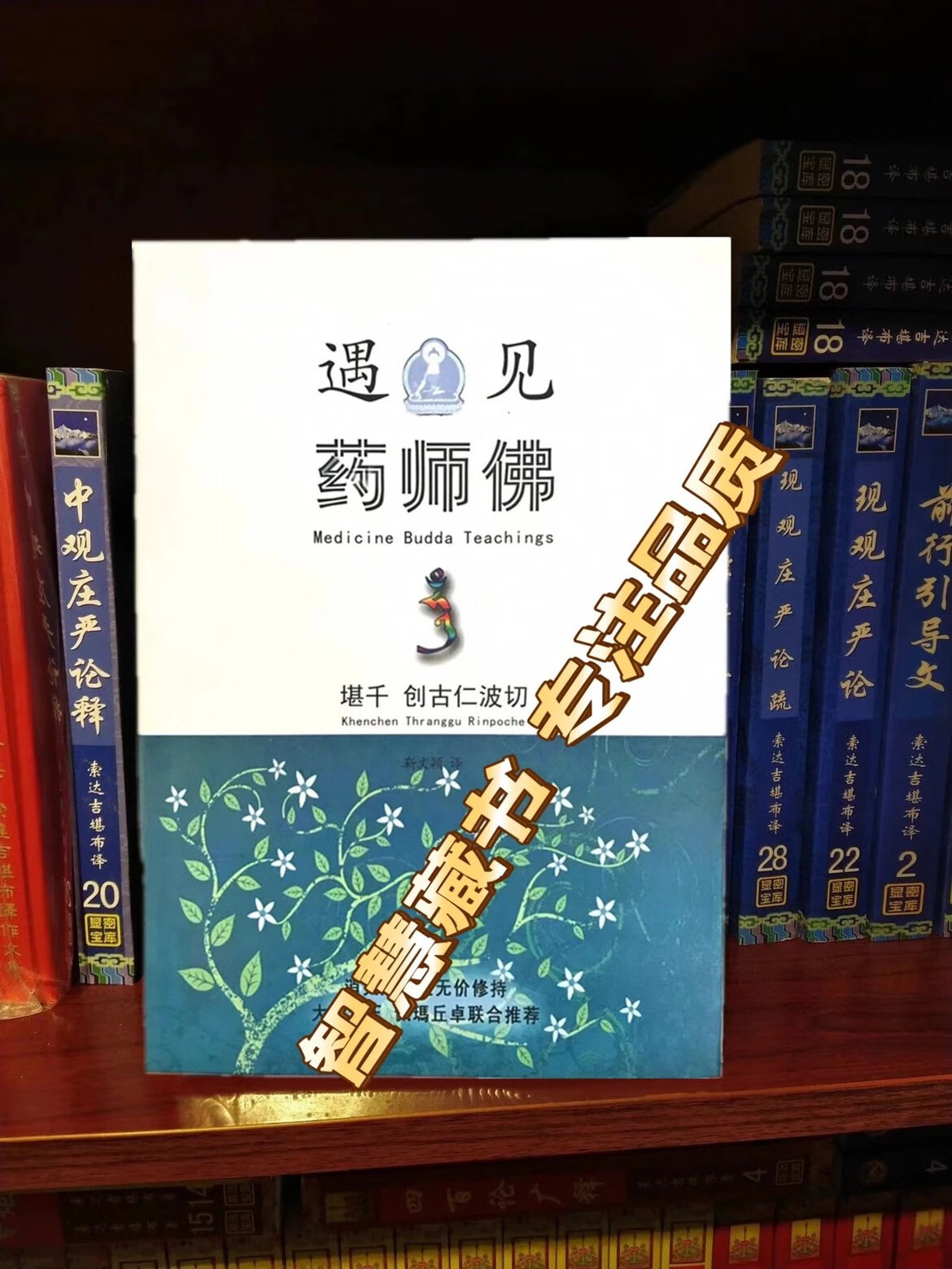 遇见药师佛 16开本 创古仁波切 **延寿之无价修持 大宝法王和佩玛邱卓联合推荐