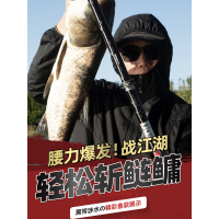 黑带涉水精工鱼竿黑坑版6h鱼竿10h黑坑飞磕竿19调8h超轻超硬12h手竿台钓竿抢鱼偷驴杆