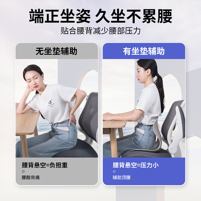 佳奥经典款人体工学坐靠一体垫242105J3100LB4高清大图