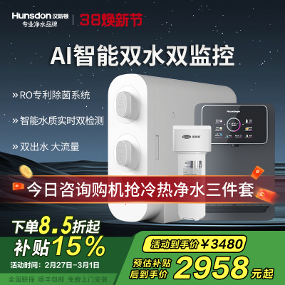 汉斯顿净水器家用直饮厨房无桶大流量500G双出水净水机ro纯水C2
