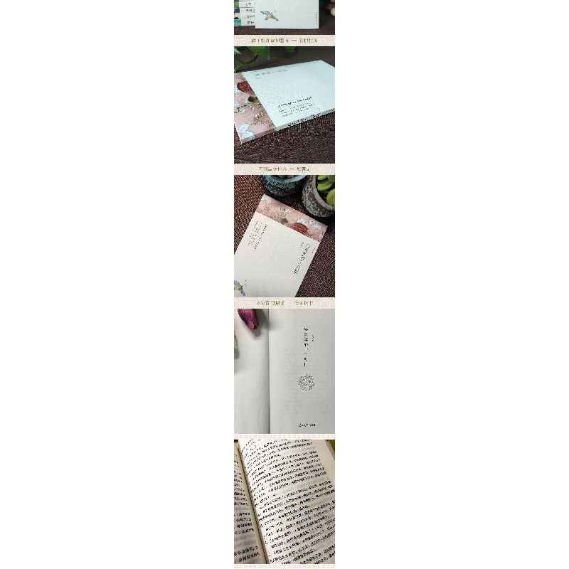 正版新书]给青年的十二封信/名家文丛朱光潜 著9787511553805高清大图