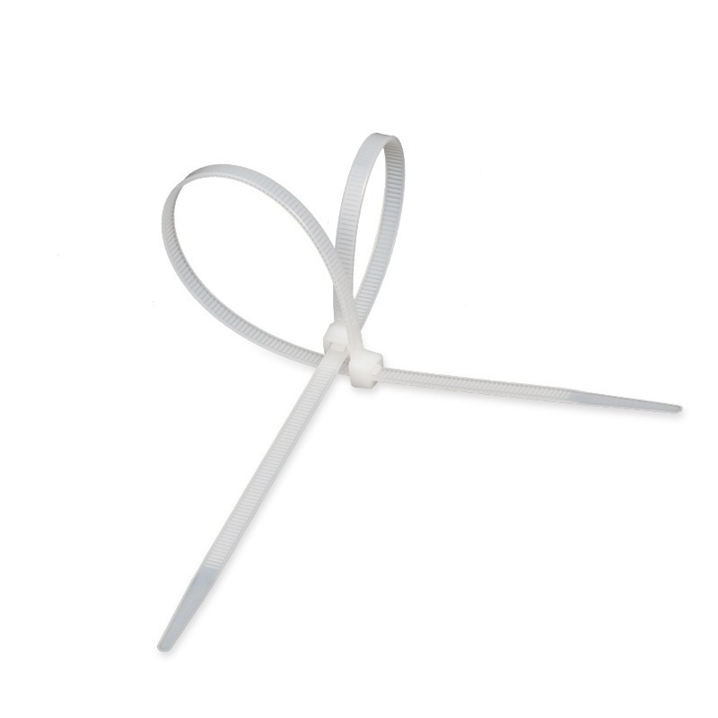 捷犀 尼龙扎带 10*450mm/100条/包高清大图