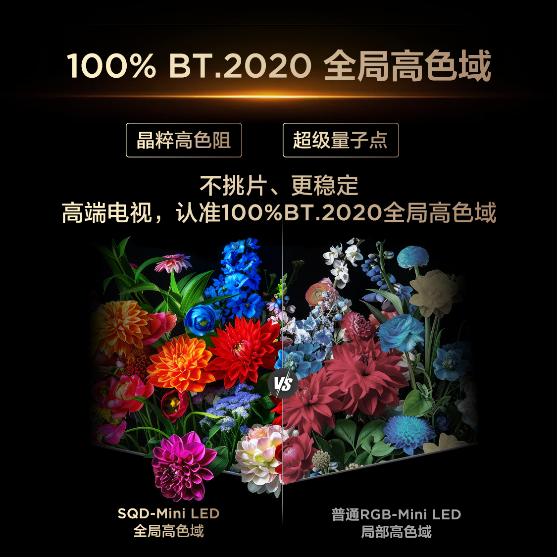TCL电视 75Q9M Pro 75英寸 SQD-Mini LED 100%全局高色域 超级蝶翼星曜屏 万象分区高清大图