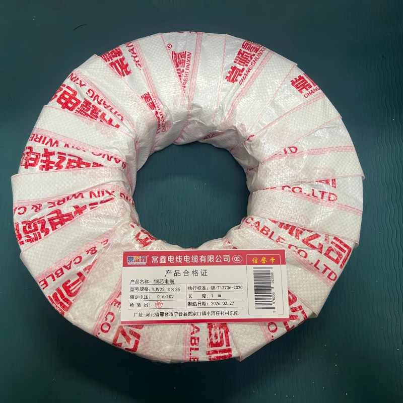常顺鑫 铜芯电缆YJV22 3×35 米高清大图
