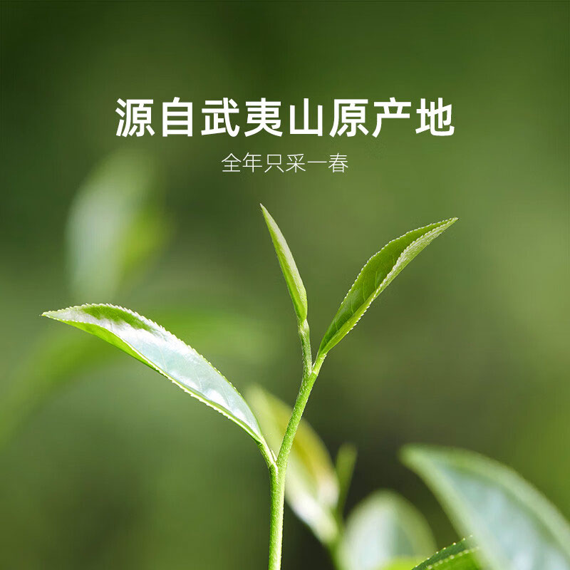 小罐茶金罐系列乌龙茶武夷山大红袍正岩特级10罐40g茶叶礼盒高清大图