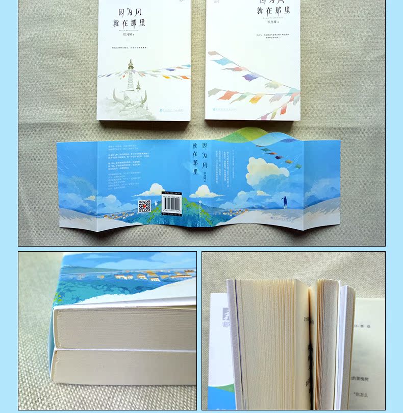 [醉染正版]新书 因为风就在那里 玖月晞著 追风系列季 亲爱的阿基米德 他知道风从哪个方向来作品作者 青春文学 都市高清大图