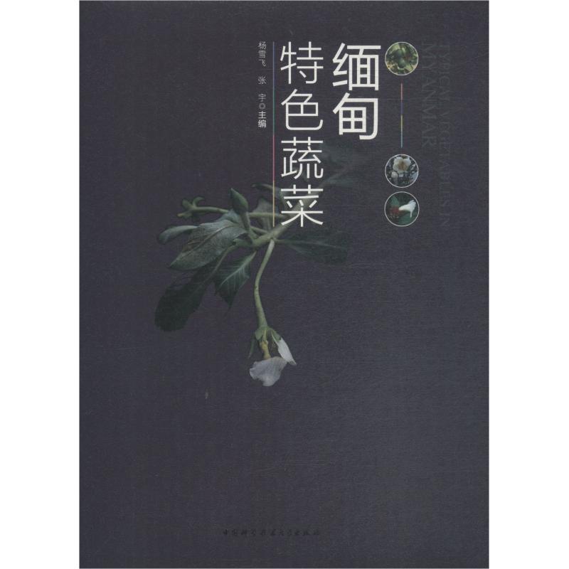 正版新书】缅甸特色蔬菜杨雪飞9787312045790