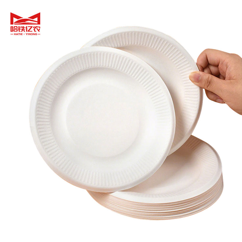 哈铁亿农 一次性餐盘纸浆餐盘可降解 6寸 50个/包高清大图