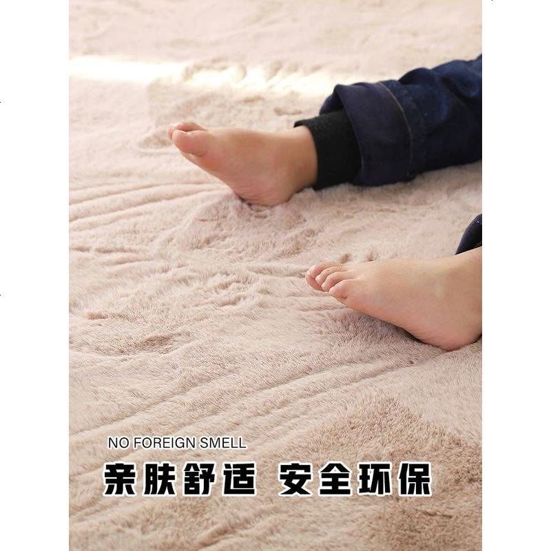 卧室地毯床边毯满铺房间脚垫飘窗窗台垫子加厚床前毛绒小地毯可爱图片