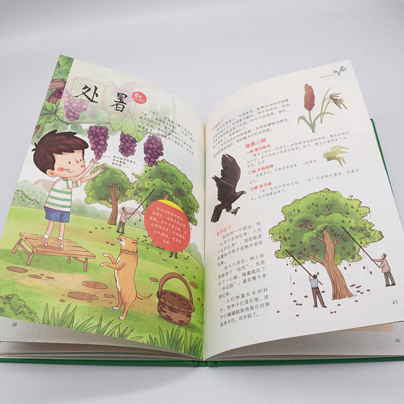 画给孩子的二十四节气 [正版]画给孩子的二十四节气儿童绘本故事书3到6岁幼儿园精装彩绘本这就是画给孩子的24节气儿童科普高清大图