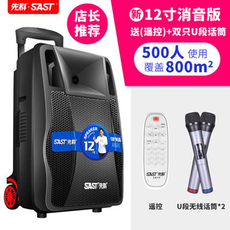 先科天韵2号广场舞音响音箱户外带无线话筒K歌家用拉杆移动便携式大功率充电蓝牙舞台重低音室外演出播放器12寸 标配+双话筒