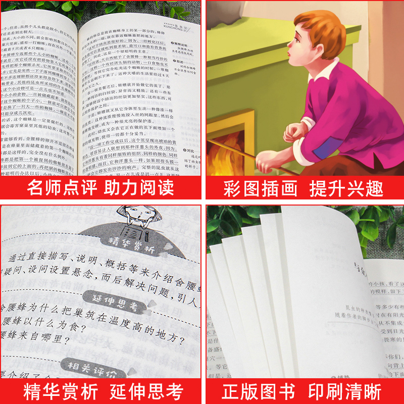 苦儿流浪记 [正版]钢铁是怎样炼成的青少年成长励志小说儿童文学世界名著必读三四五六七八年级初中小学生课外阅读书籍繁星春水高清大图