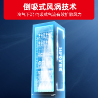 星星(XINGX) 271升立式单门商用风直冷冷藏冰箱展示柜 超市饮料啤酒保鲜冷柜茶叶冷饮陈列冷柜LSC-280FYPE