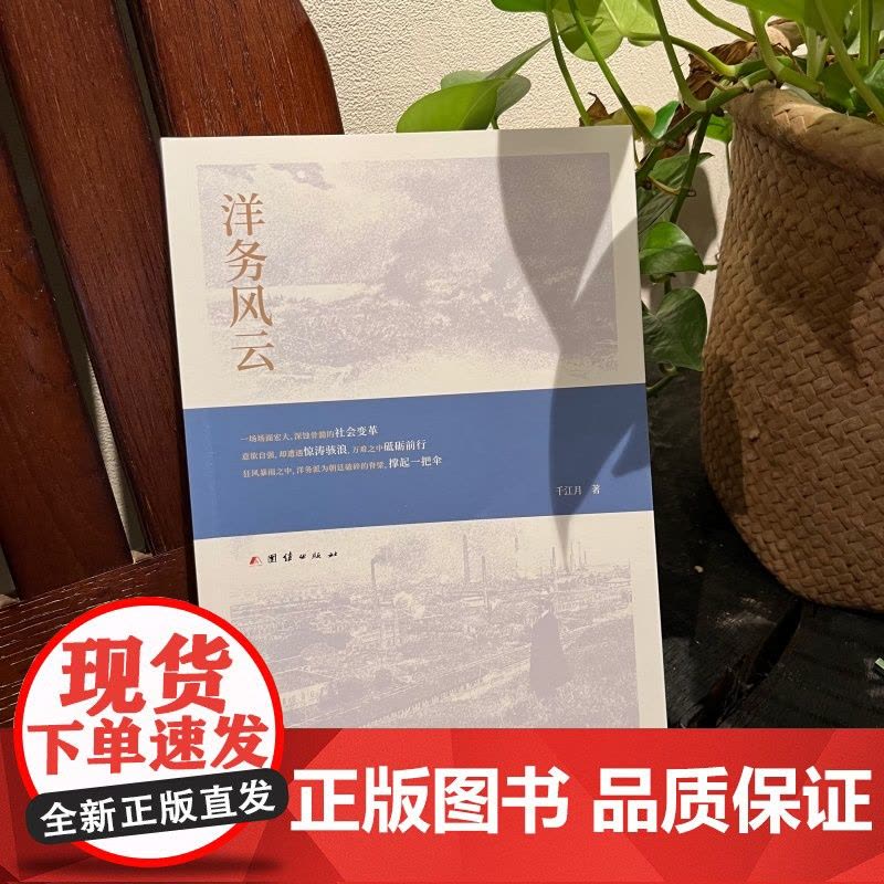 洋务风云图片
