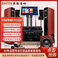 奔腾(BNTN)套装家庭影院KTV音响卡拉OK音箱组合点歌机电视客厅会议音响5.1声道功放低音炮无线话筒效果器全套