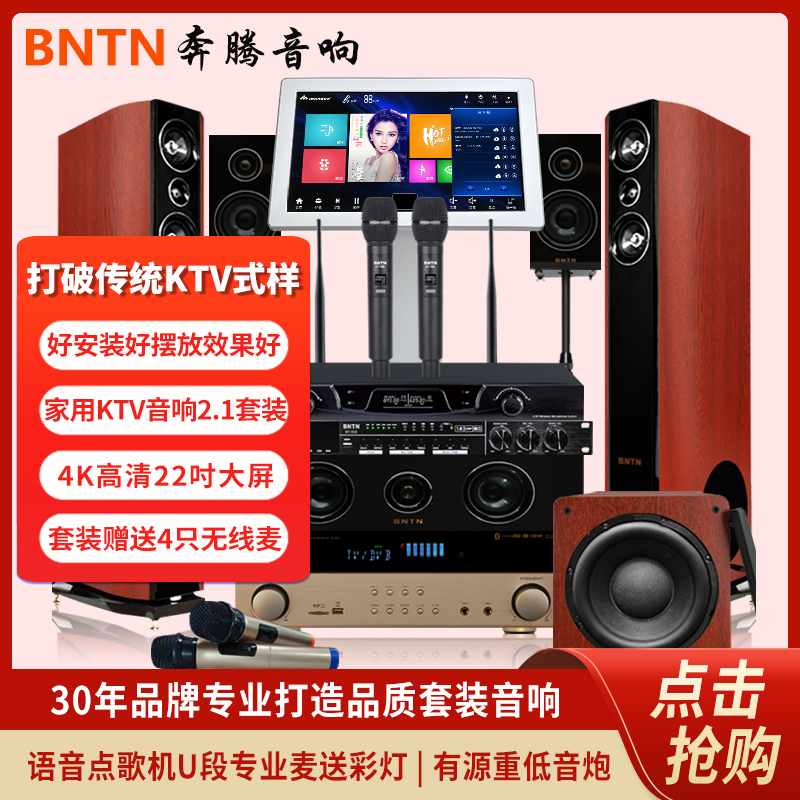 奔腾(BNTN)套装家庭影院KTV音响卡拉OK音箱组合点歌机电视客厅会议音响5.1声道功放低音炮无线话筒效果器全套