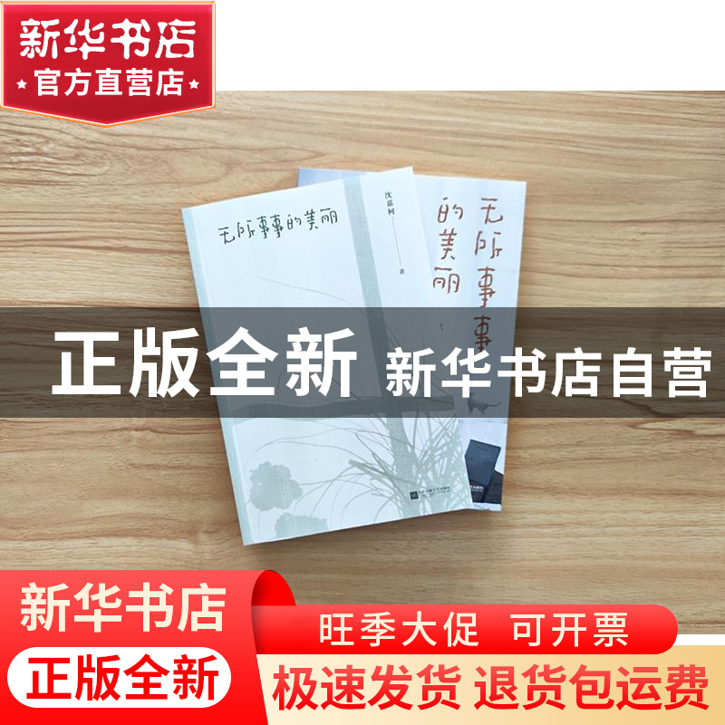 正版 无所事事的美丽 沈嘉柯 江苏文艺出版社 9787559455482 书籍高清大图