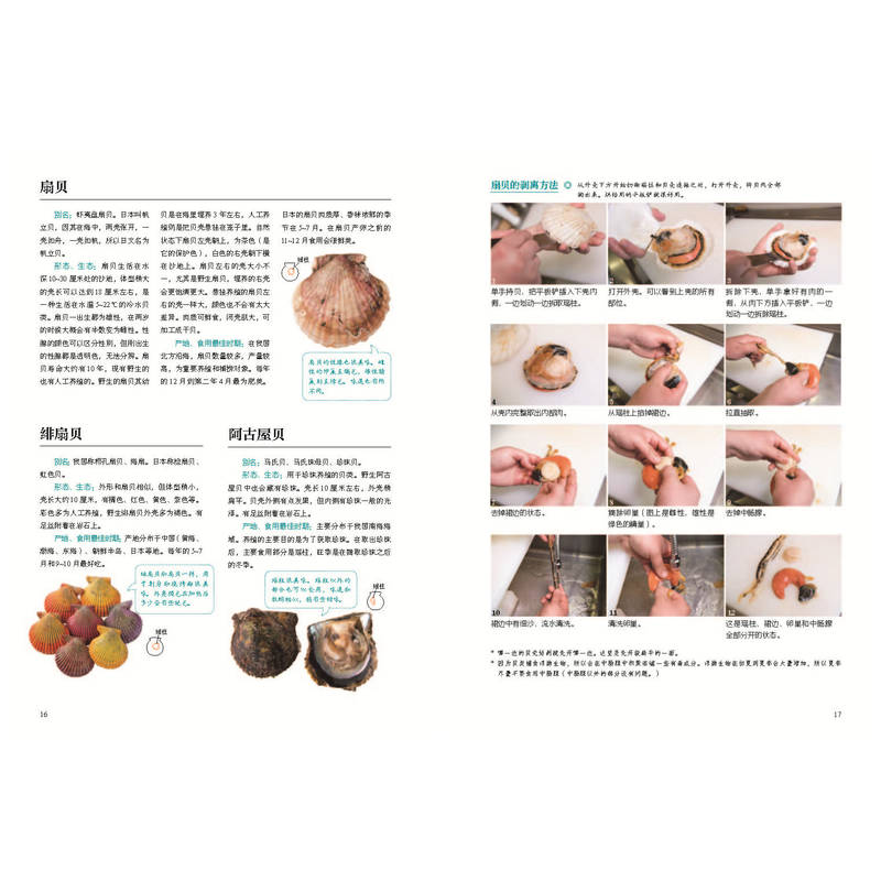[正版]日本主厨笔记 贝料理专业教程 柴田书店 把贝类的鲜美充分发挥的烹调方法 日式 欧式 中式 东南亚式 贝类料理大高清大图