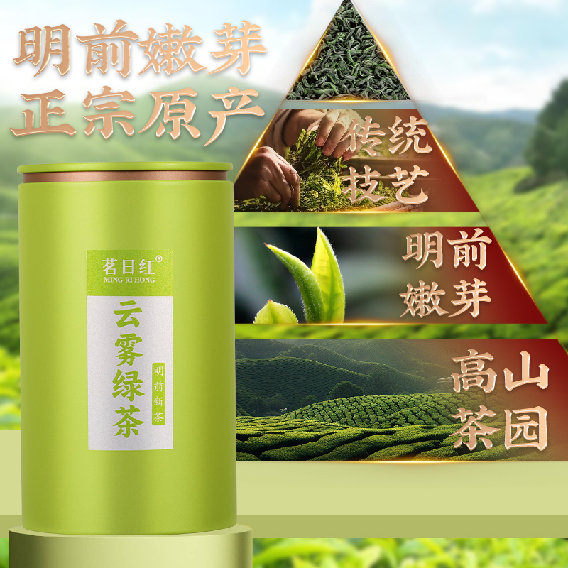 茗日红 高山云雾绿茶 新茶上市 明前浓香型绿茶茶叶 散装罐装250g
