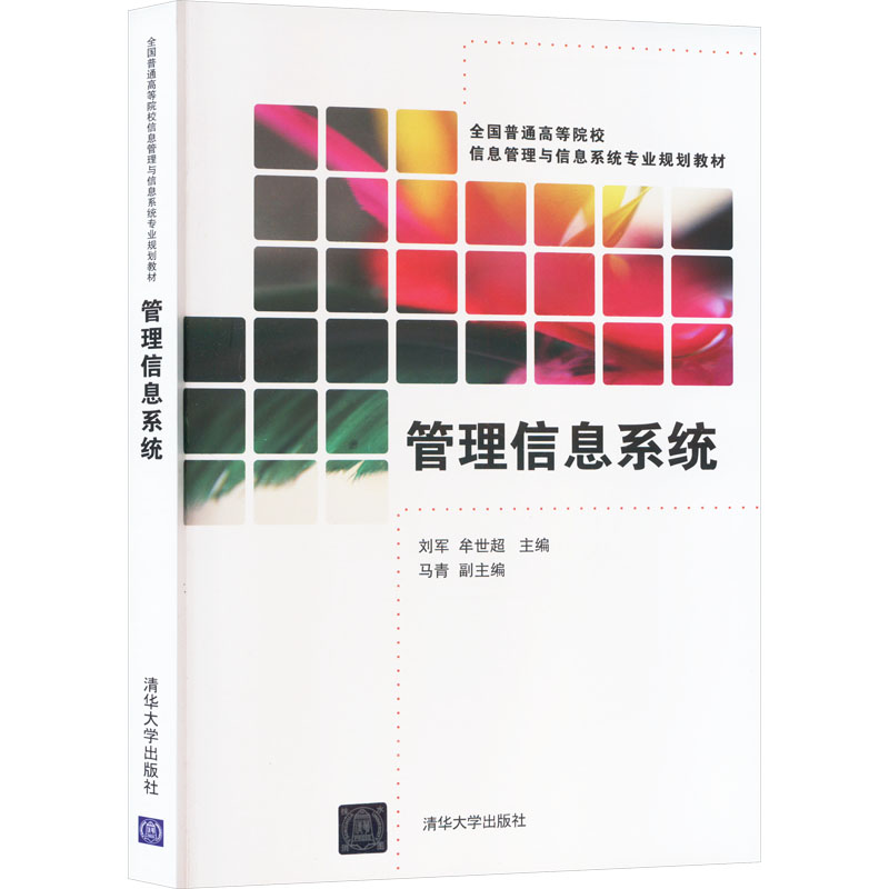 [M]管理信息系统-9787302390350高清大图