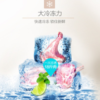 美的(Midea) BD/BC-203KM(E) 冰柜小型家用冰箱冷柜冷藏迷你保鲜冷冻两用