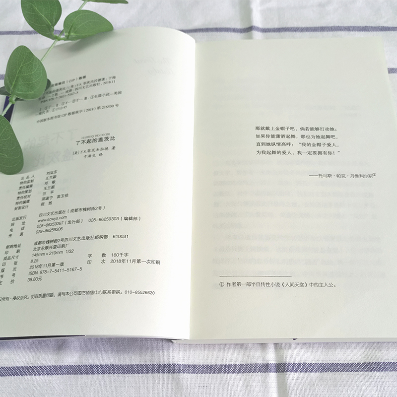 醉染图书了不起的盖茨比9787541151675高清大图