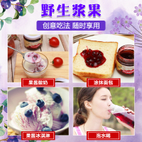 森林果园野生缤纷果酱组合装140g*4瓶早餐涂抹面包酱水果馅料冰激凌酸奶蓝莓酱