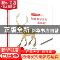 驯鹿雷尼尔的森林呢？