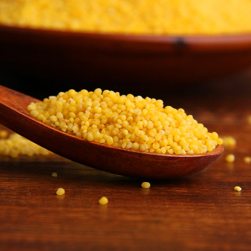 京荟堂 黄小米500g 五谷杂粮粗粮二米饭粥伴侣