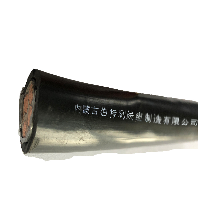 伯特利铠装铜芯电缆 ZC-YJV22-5*6mm²/米高清大图