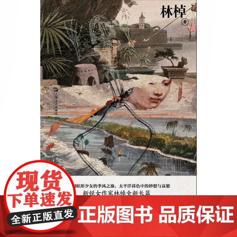 潮汐图 林棹豆瓣年度作者 2022年宝珀文学奖获奖作品 当代文学精装正版书上海文艺出版社长篇小说 另著流溪高清大图