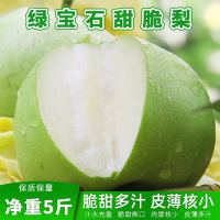 绿宝石梨翠冠梨皇冠梨梨子苹果梨5斤装约5-9个