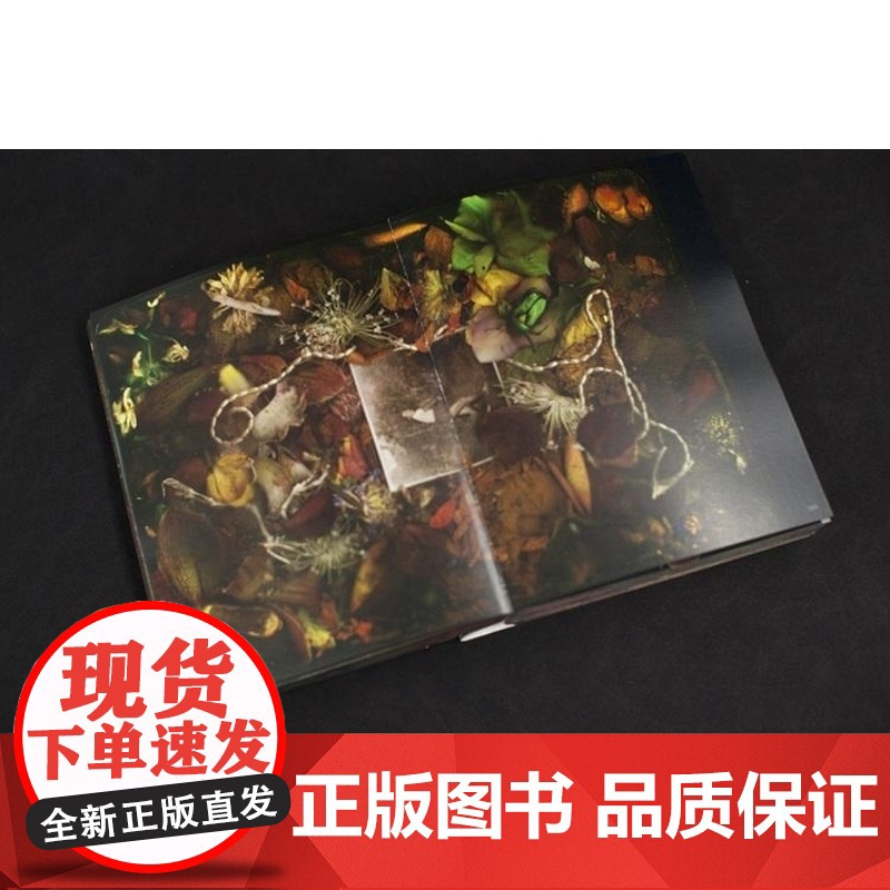 永无岛 马良摄影集上海文化出版社视觉艺术正版图书籍高清大图