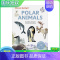 [正版]翻翻立体书极地动物 Polar Animals 6-8岁少儿自然地理生物科普知识课外阅读绘本 Ultima