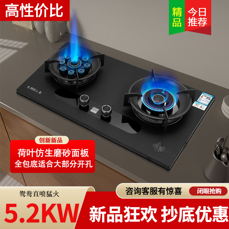 旺厨好太太 5.2KW磨砂直喷猛火灶 定时燃气灶家用炉灶 大火力煤气灶灶具双灶双眼灶液化气灶 打火灶企业价高清大图