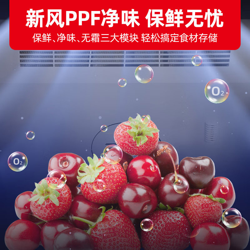 星星(XINGX)286升零下40℃超低温深冷柜商用冰柜卧式全冷藏全冷冻生鲜柜风冷无霜保鲜柜 BD/BC-286WDV高清大图