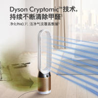 戴森(DYSON) TP06 除菌除甲醛空气净化风扇 整屋循环净化 兼具空气净化器功能 除菌除甲醛 白金色