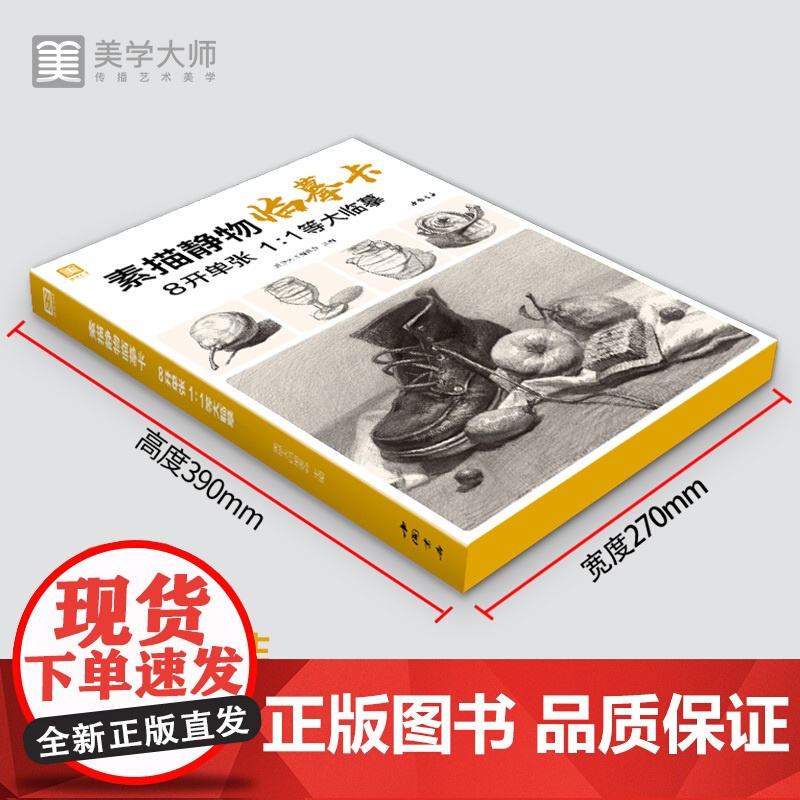 2021新书 素描静物临摹卡8开临摹范本组合画册集美术基础单个罐子sh高清大图