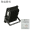 利成照明 投光灯 低压投光灯 LC1322-30W