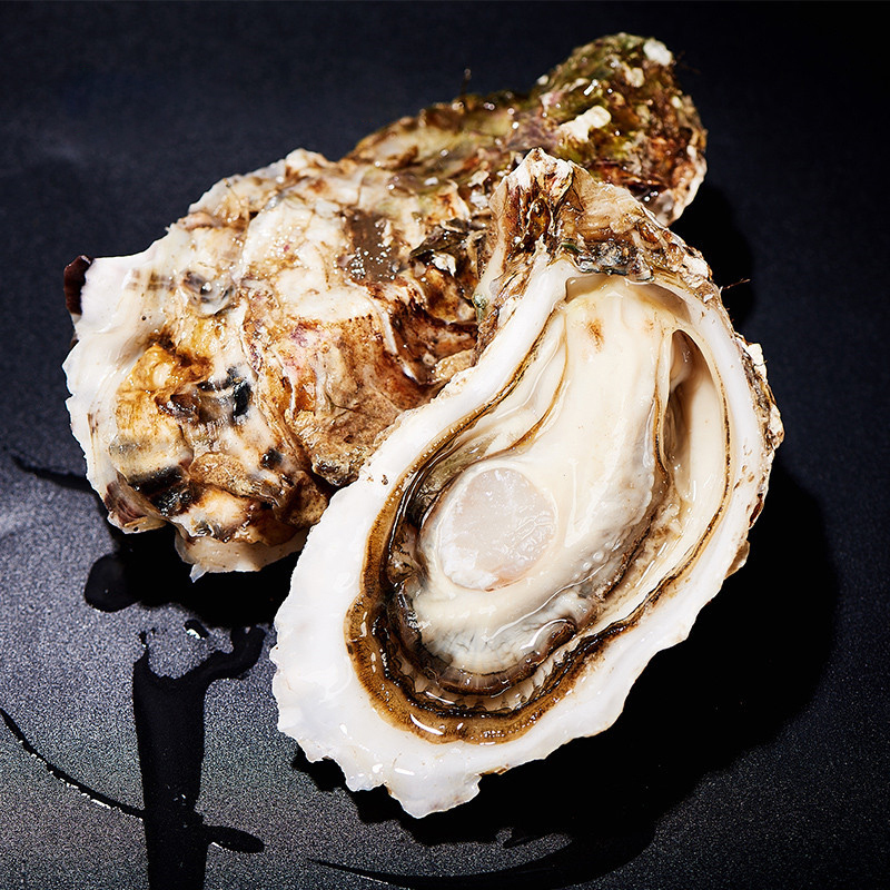 海洋岛HAIYANGDAO 鲍鱼6只(300g)+生蚝6只(1000g) 约1300g国产大连海鲜水产礼盒 礼盒装