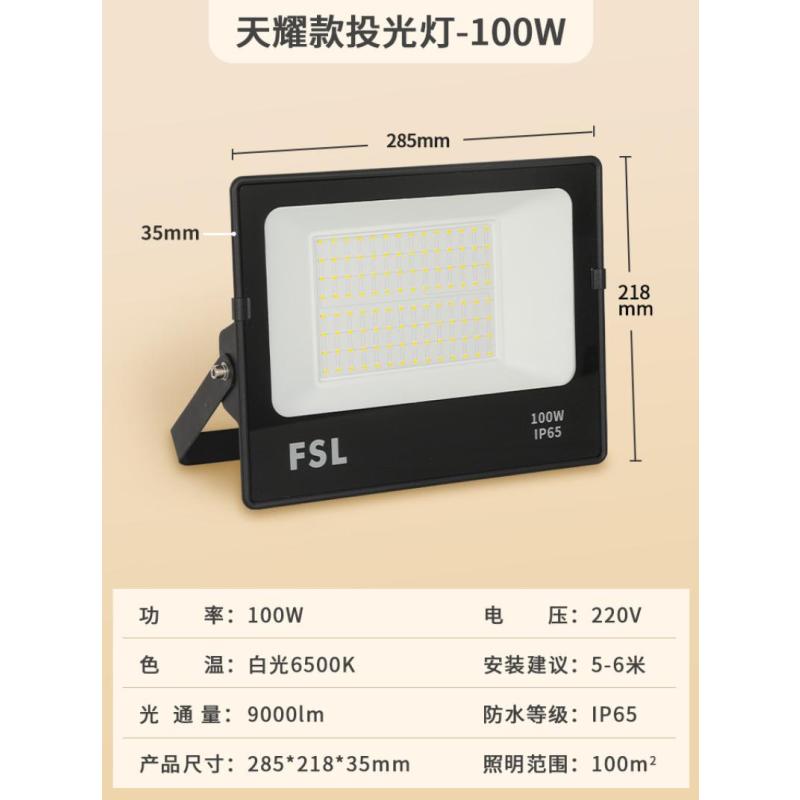 佛山照明泛光灯投光灯100W 白光 IP65-100W白光IP65--