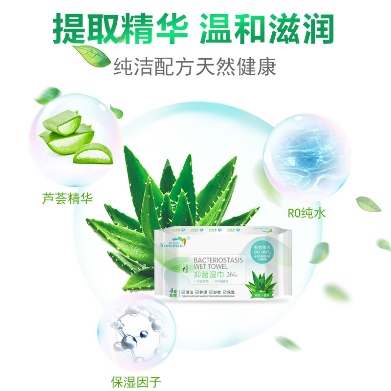 雅曼妮2包消毒湿巾成人男女护理湿巾洁卫生湿纸巾防护