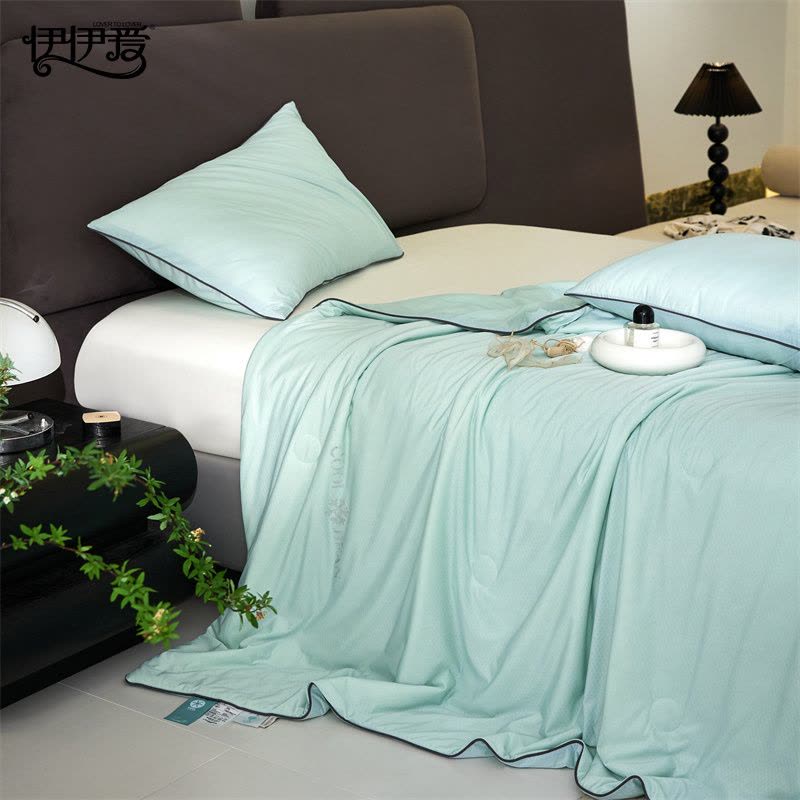 伊伊爱 八星凉感提花大豆夏被图片