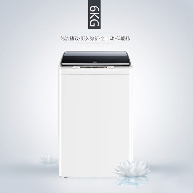 双鹿(SONLU) 全自动波轮洗衣机 6公斤 家用 XQB60-618D 透明灰