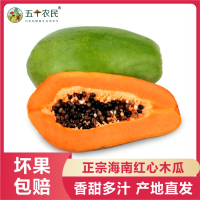 [五个农民]雷州红心木瓜 牛奶木瓜红心新鲜当季热带水果冰糖大青木瓜树上熟雷州海南现摘现发8斤装