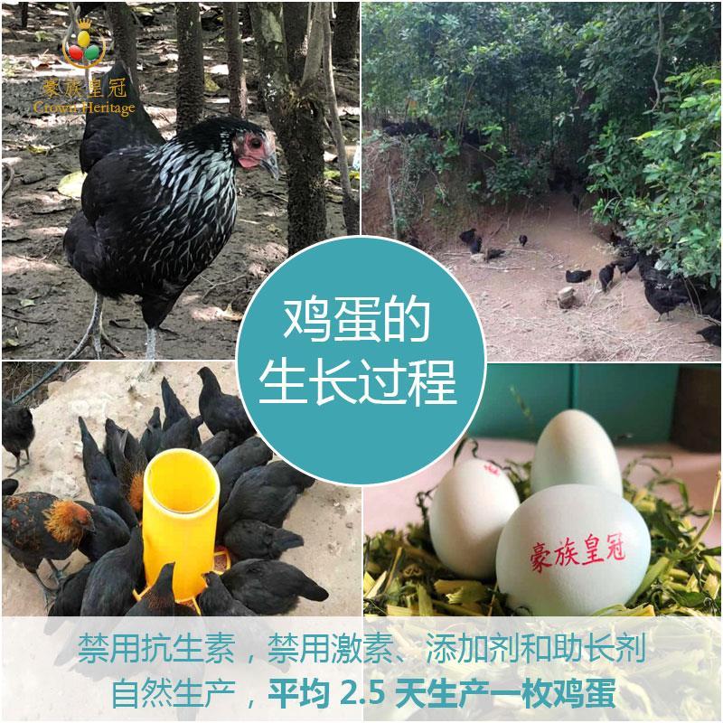 豪族皇冠 重庆 富硒养生鸡蛋 10枚盒装 你从未吃过的珍品鸡蛋 低胆固醇高蛋白