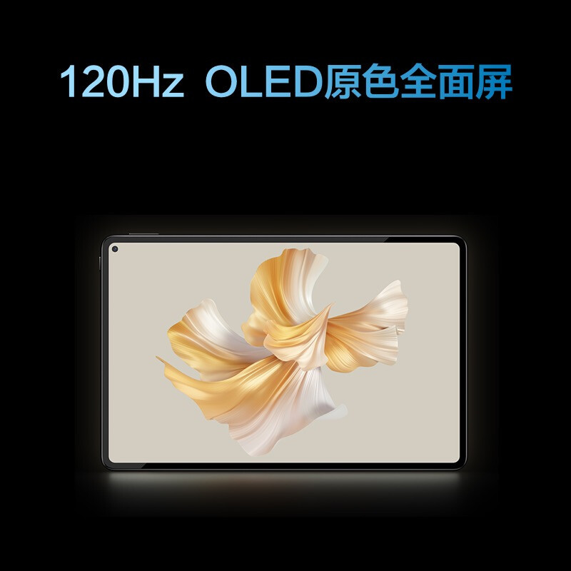 HUAWEI/华为MatePad Pro 11英寸骁龙888性能版插卡通话版平板电脑鸿蒙办公娱乐考研学习 8G+256G[全网通]曜金黑高清大图