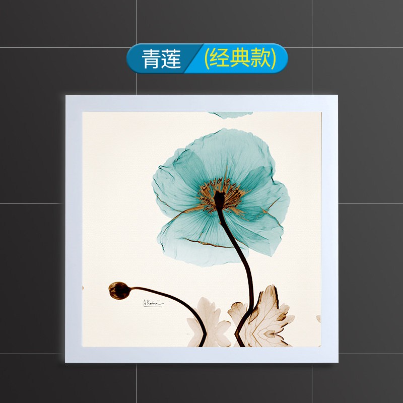 浴室壁画收纳柜可折叠壁挂衣服储物柜厕所各种收纳架卫生间置物架 三维工匠 精灵小鸟（壁挂免打孔承重强）